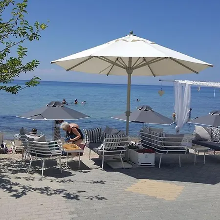 Dariva نيا سكيوني