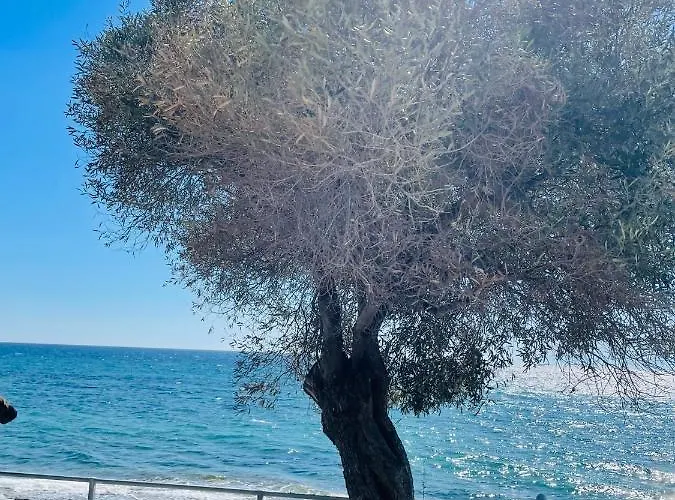 Dariva Apartman *